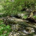 DSC04115
