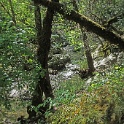 DSC04120