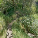 DSC04174