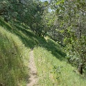 DSC04176