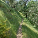 DSC04180