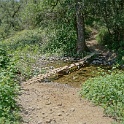 DSC04201