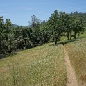 DSC04205
