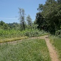DSC04207