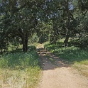 DSC04210