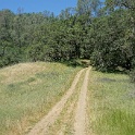 DSC04218