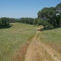 DSC04239