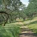 DSC04242