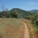 DSC04254