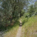 DSC04256