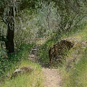 DSC04258