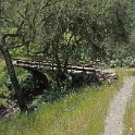 DSC04267