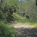 DSC04297