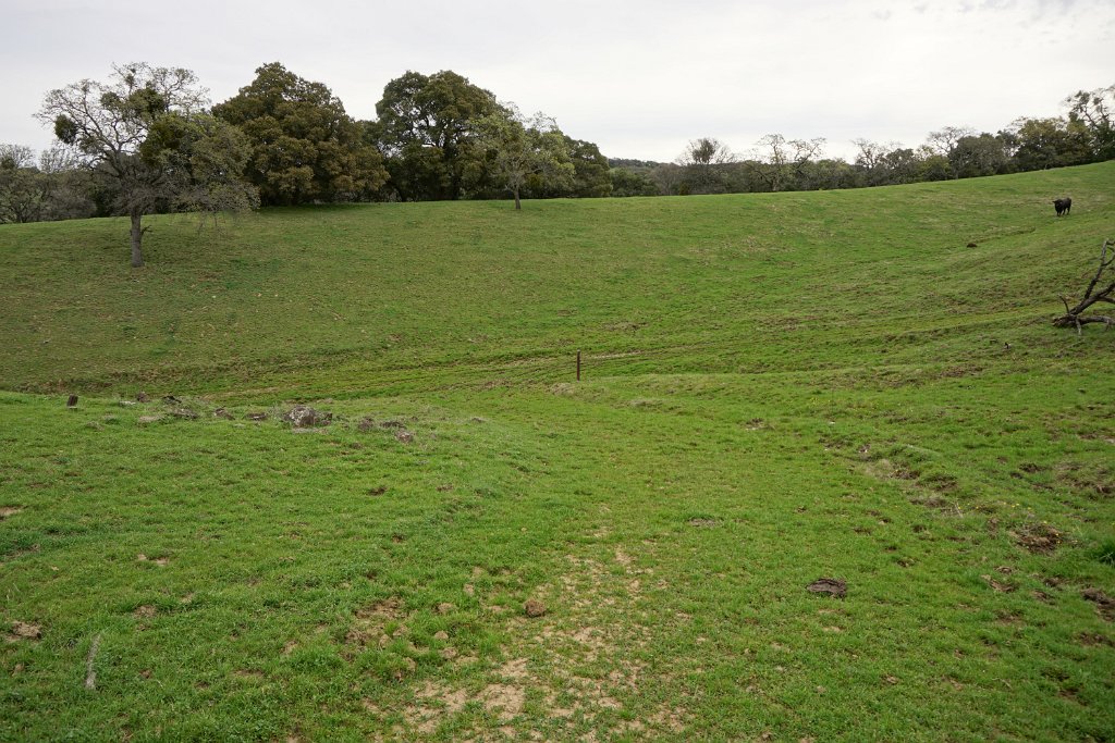 DSC07418