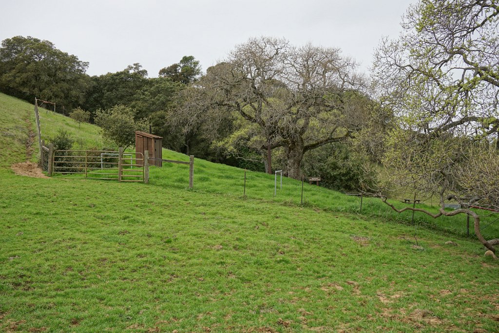 DSC07445