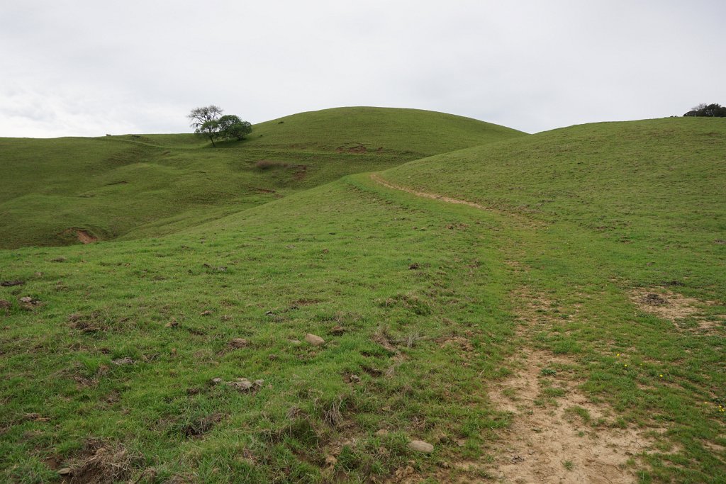 DSC07450