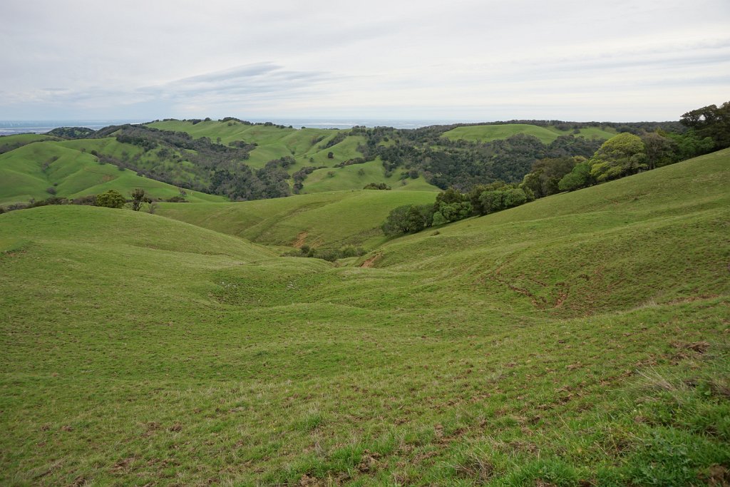 DSC07454
