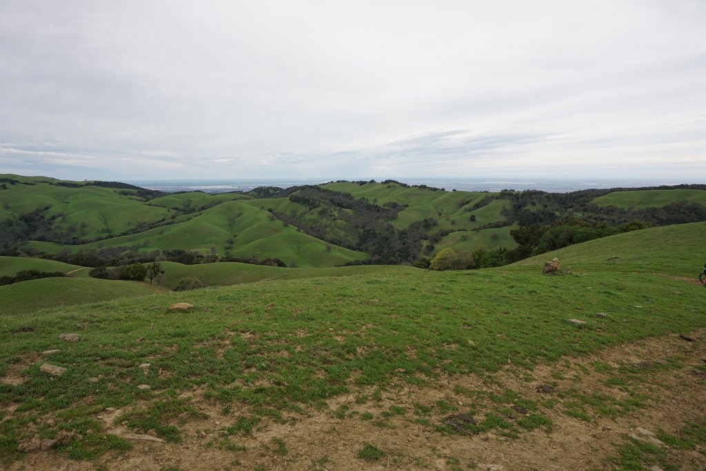 DSC07465