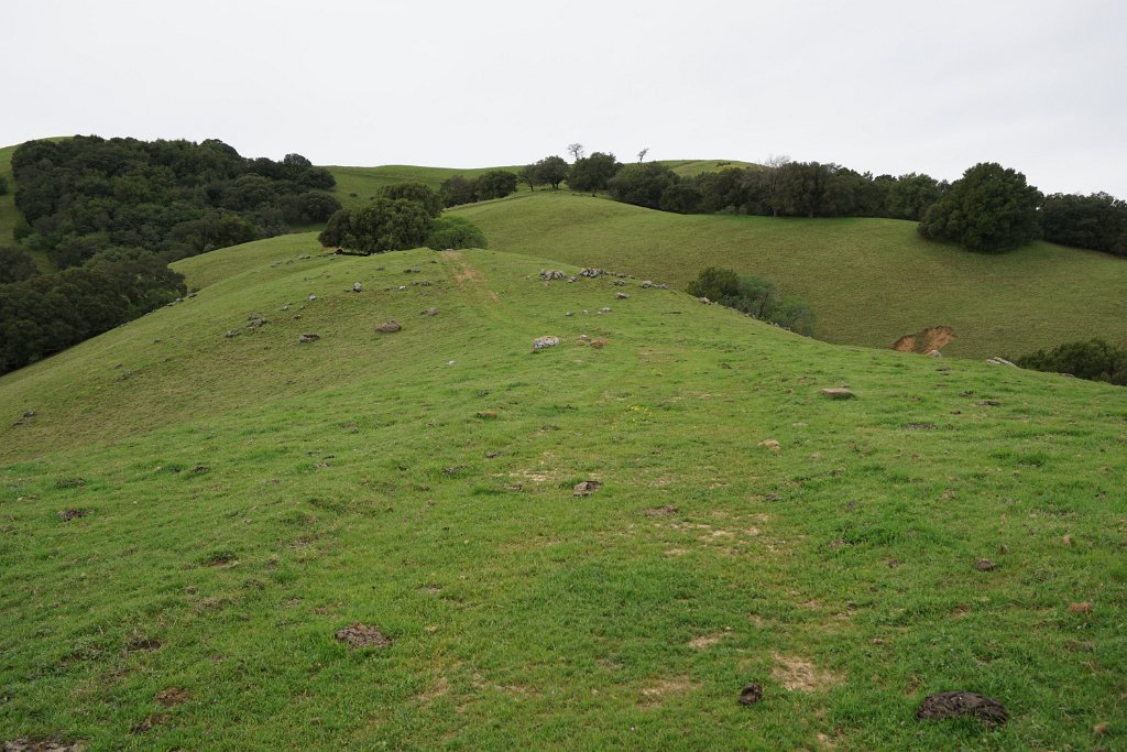 DSC07466