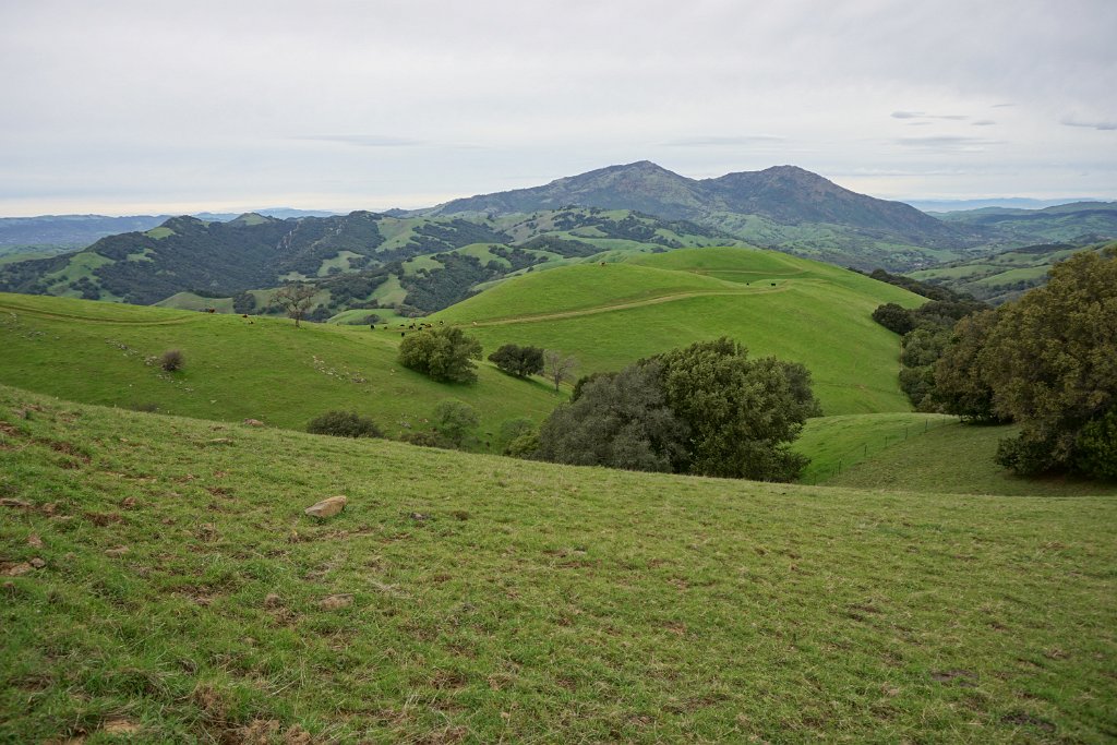 DSC07493