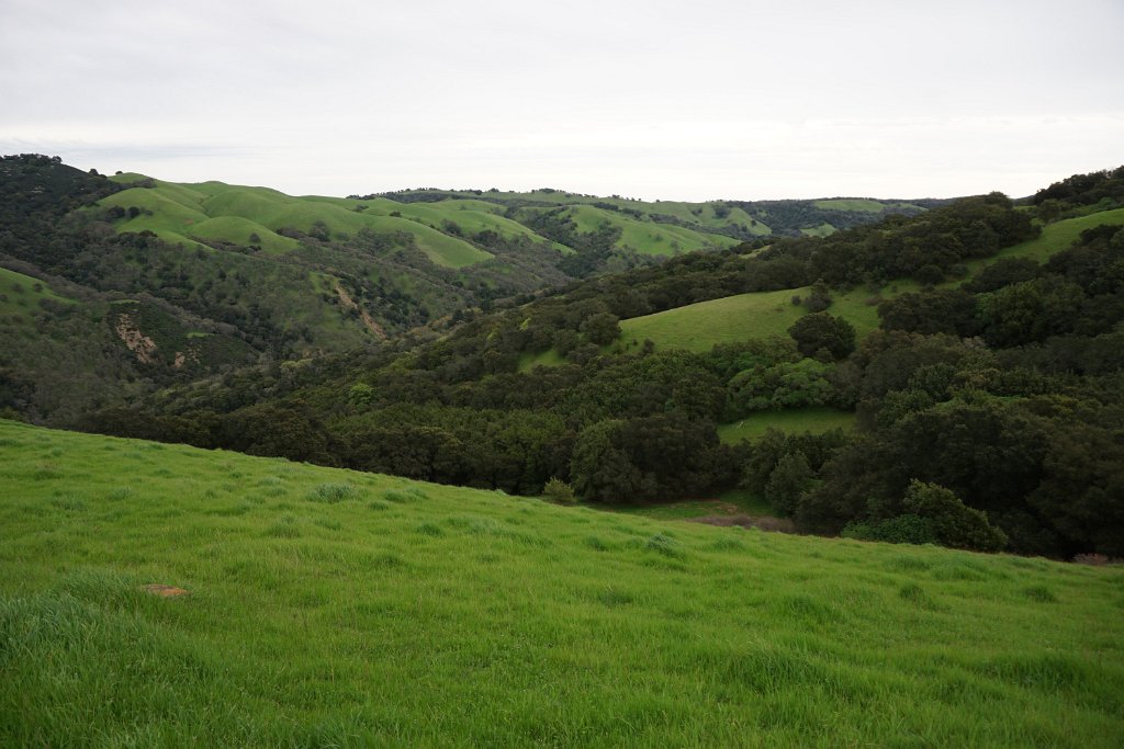 DSC07509
