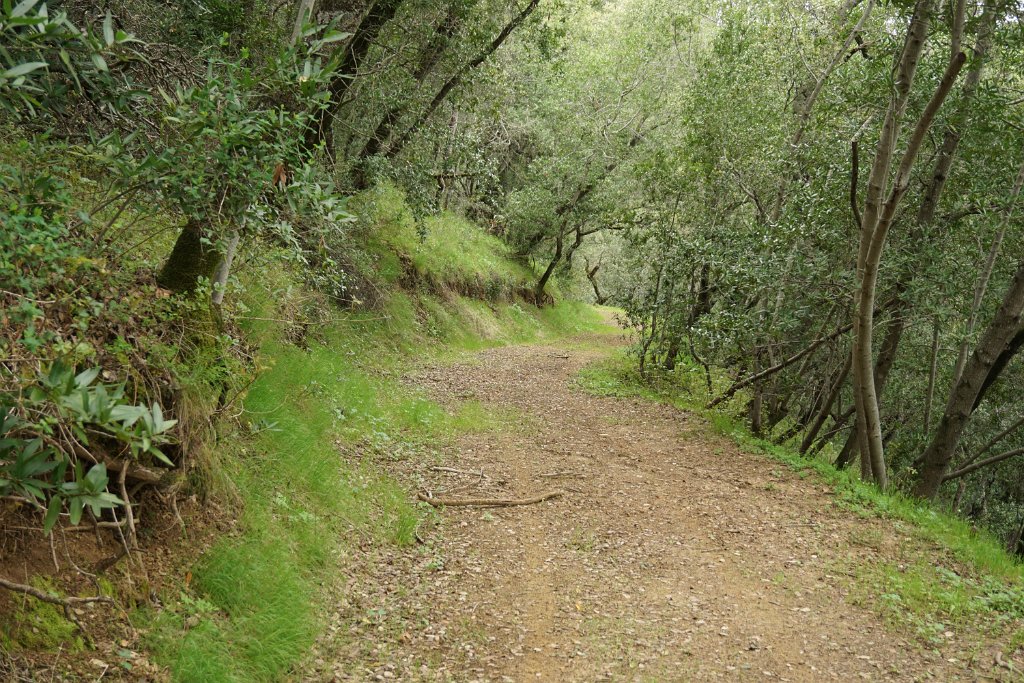 DSC07552