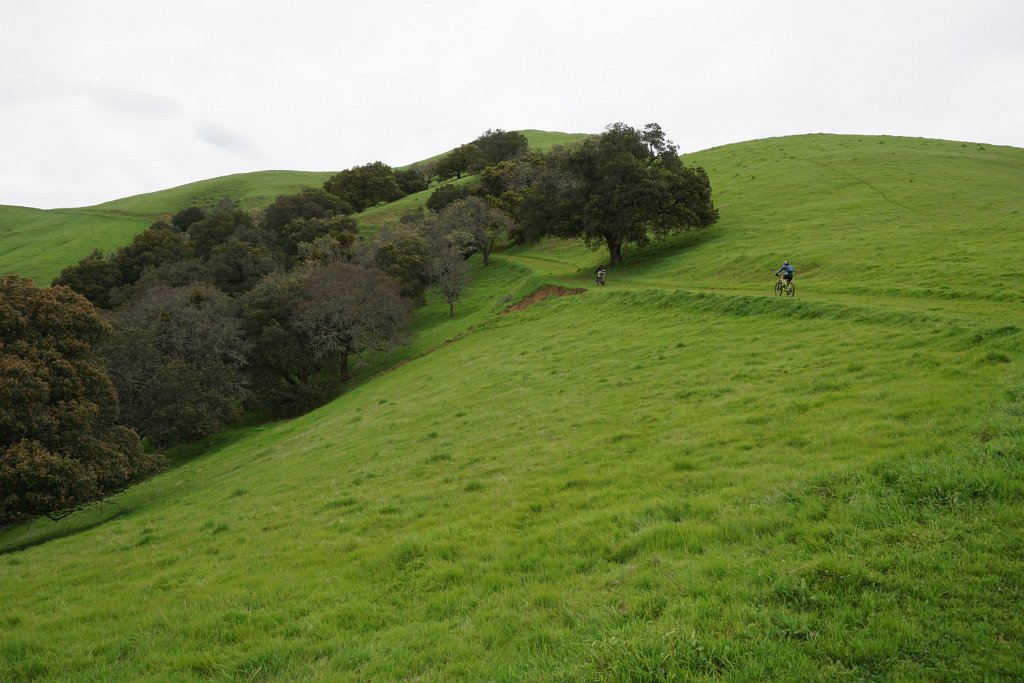 DSC07601