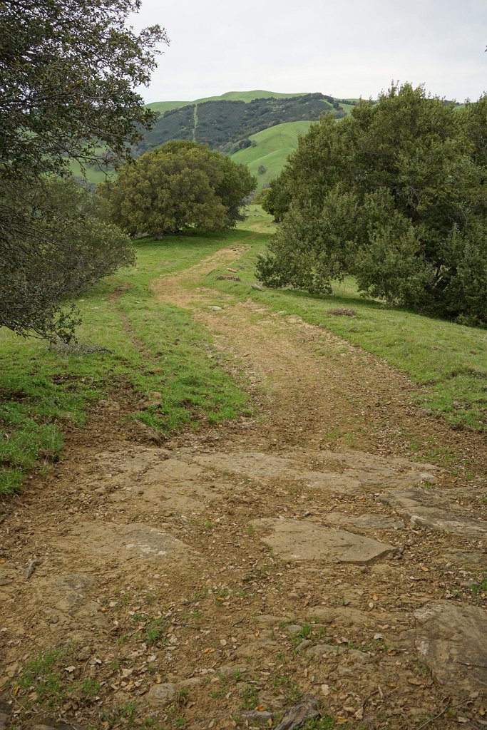 DSC07624