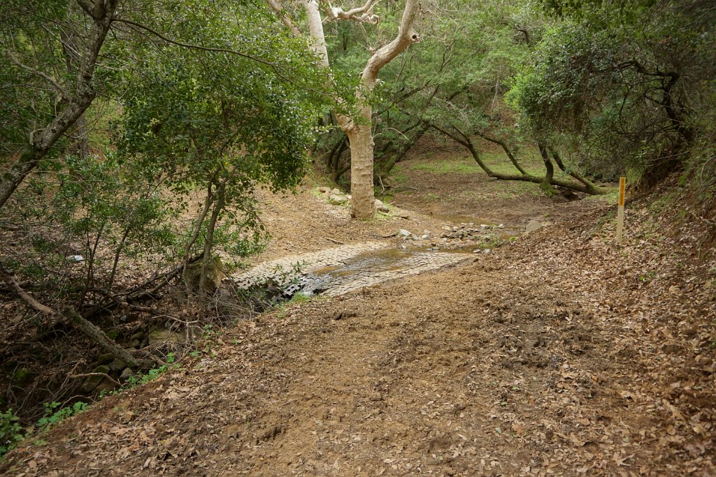 DSC07638
