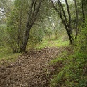 DSC07415