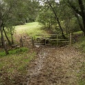 DSC07416