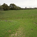 DSC07418