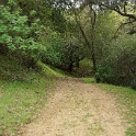DSC07433