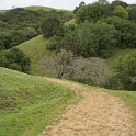 DSC07438