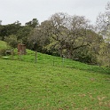 DSC07445