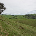 DSC07449