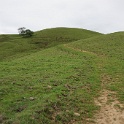 DSC07450