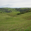 DSC07454