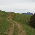 DSC07489