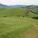 DSC07496