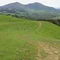DSC07508