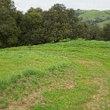 DSC07514