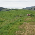 DSC07526