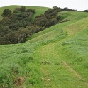 DSC07534