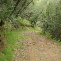 DSC07552