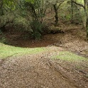 DSC07554
