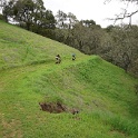 DSC07555