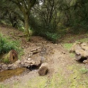 DSC07566