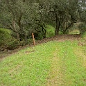 DSC07571