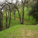 DSC07585